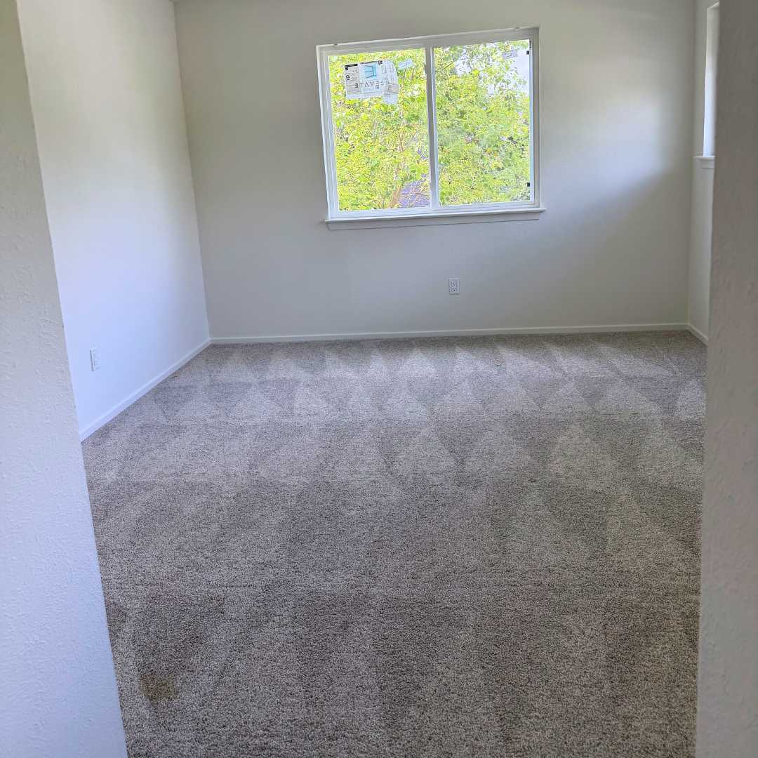 Newly renovated space cleared of dust and debris