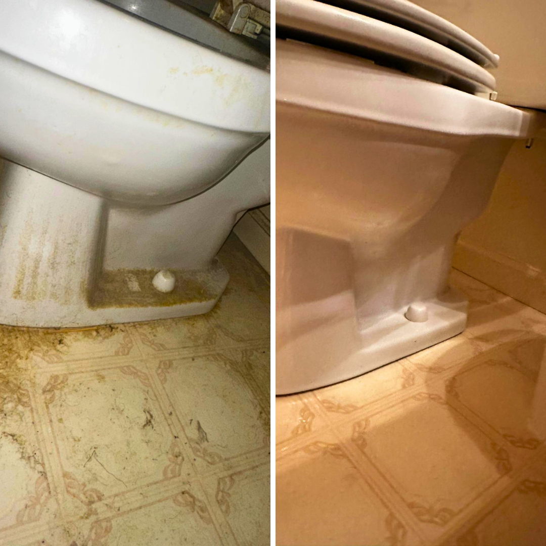 Bathroom floor and toilet sanitized